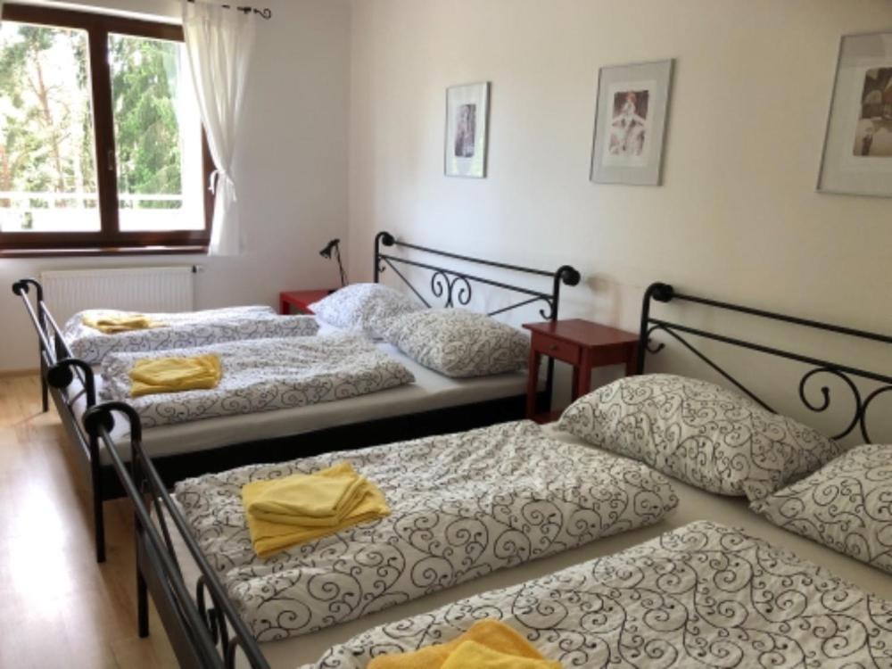Apartmany Lipno Boucek Lipno nad Vltavou Εξωτερικό φωτογραφία