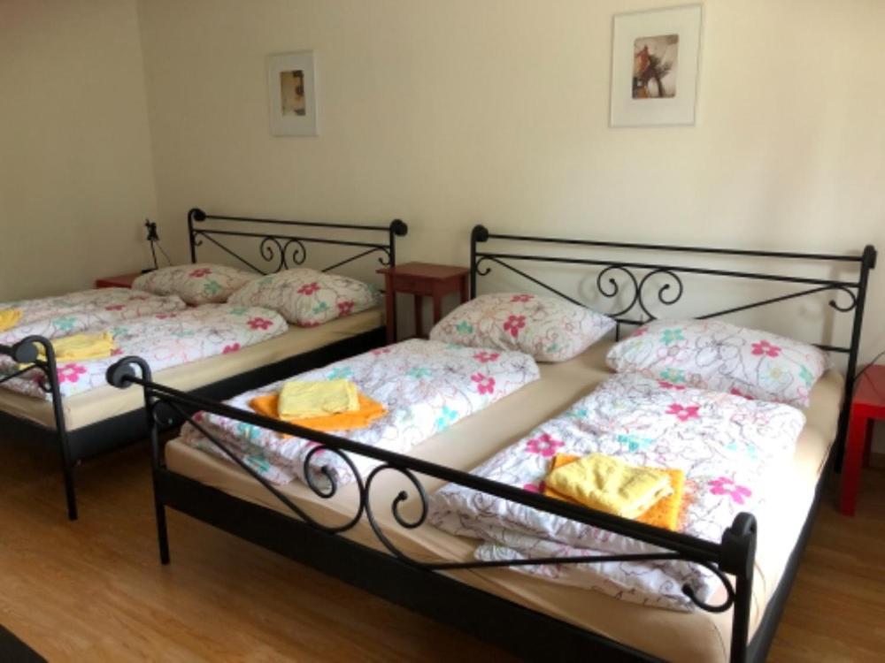 Apartmany Lipno Boucek Lipno nad Vltavou Εξωτερικό φωτογραφία